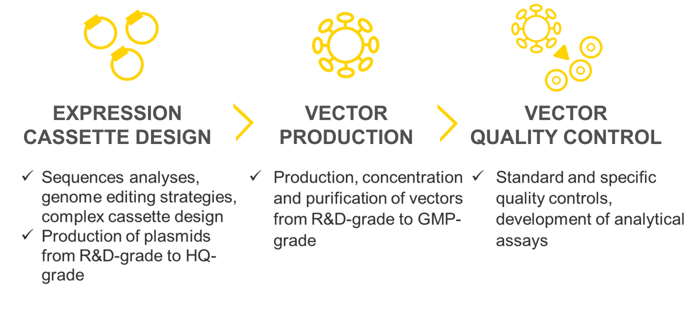 Quality of lentiviral vectors