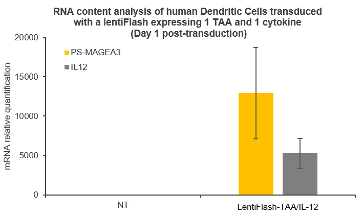 RNA dentritic 2